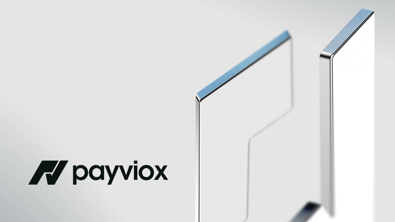 Payviox — Seamless Payment Solutions for Every Business | Payviox